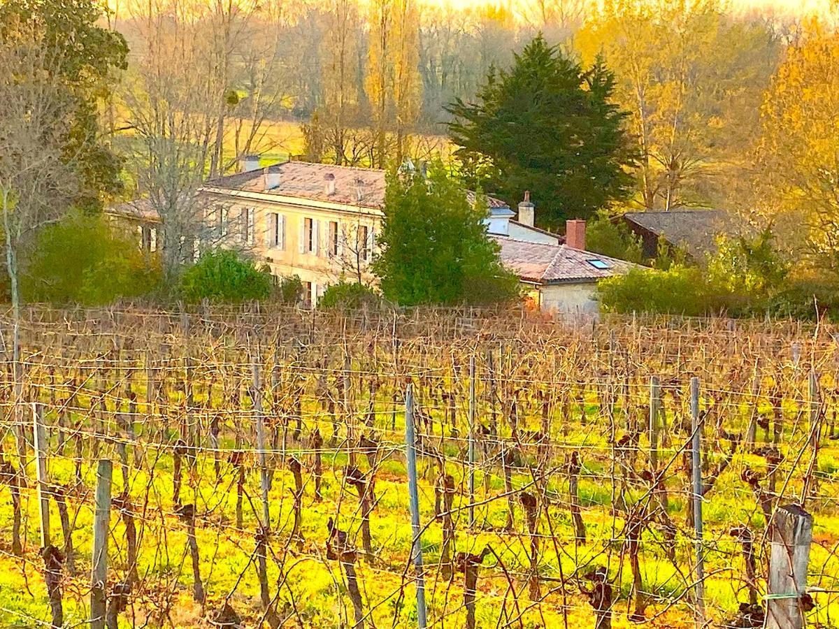 Fabuleux - Domaine Du Moulin D'Andraut Bordeaux-Chevaux-Golf-St Emilion Βίλα Montussan Εξωτερικό φωτογραφία
