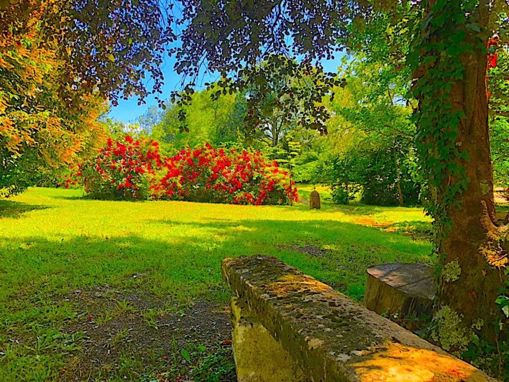 Fabuleux - Domaine Du Moulin D'Andraut Bordeaux-Chevaux-Golf-St Emilion Βίλα Montussan Εξωτερικό φωτογραφία