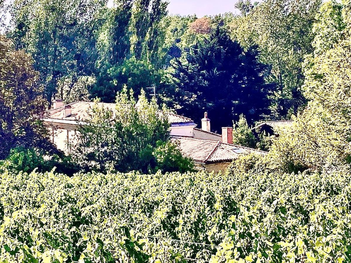 Fabuleux - Domaine Du Moulin D'Andraut Bordeaux-Chevaux-Golf-St Emilion Βίλα Montussan Εξωτερικό φωτογραφία