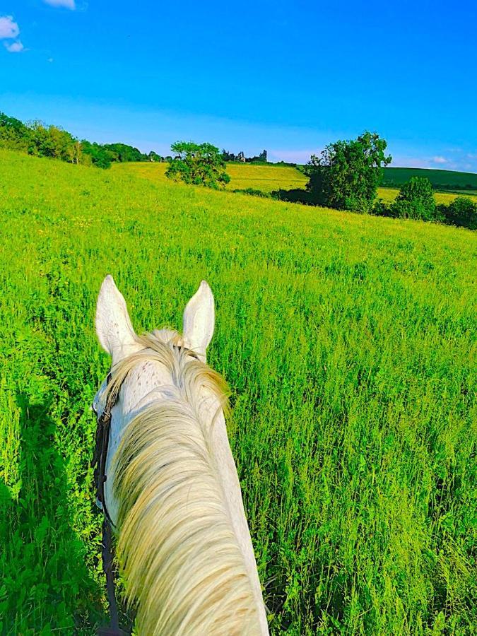 Fabuleux - Domaine Du Moulin D'Andraut Bordeaux-Chevaux-Golf-St Emilion Βίλα Montussan Εξωτερικό φωτογραφία