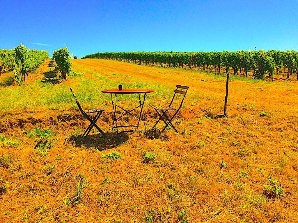 Fabuleux - Domaine Du Moulin D'Andraut Bordeaux-Chevaux-Golf-St Emilion Βίλα Montussan Εξωτερικό φωτογραφία